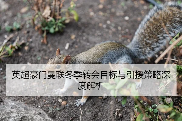 英超豪门曼联冬季转会目标与引援策略深度解析